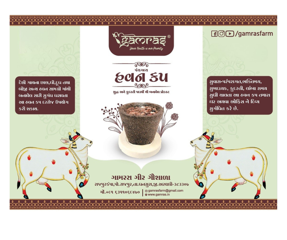 Havan Cup - 1 Pack(12 Nos)