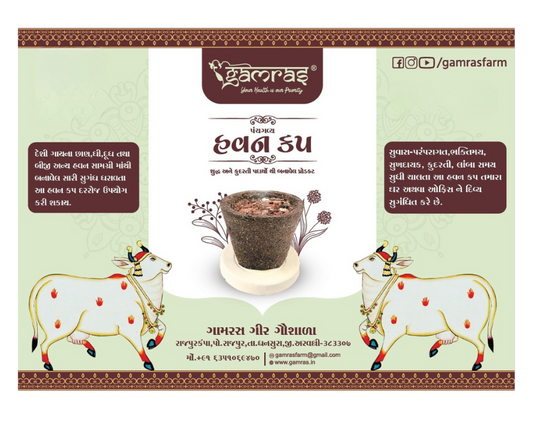 Havan Cup - 1 Pack(12 Nos)